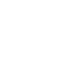 Chemical Industry